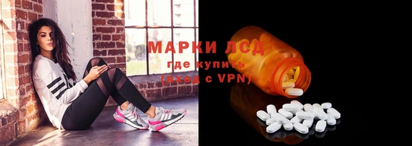 стаф Алексин
