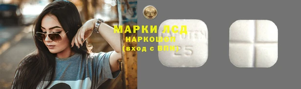 a pvp Алексеевка