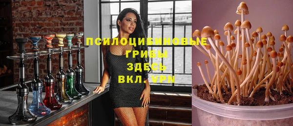mdpv Алзамай