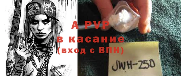 стаф Алексин