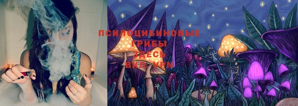 a pvp Алексеевка